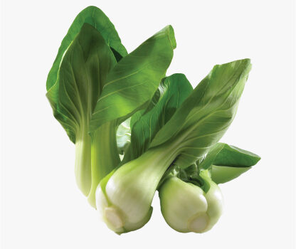 2 baby bok choy on a white background